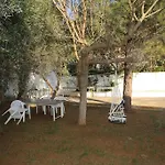 White In Olive Trees And Seaview To Panagia Ferienhaus Almiropótamos