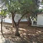 White In Olive Trees And Seaview To Panagia Ferienhaus *