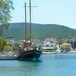 White In Olive Trees And Seaview To Panagia Almiropótamos