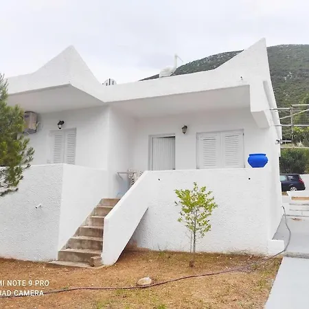 White In Olive Trees And Seaview To Panagia *