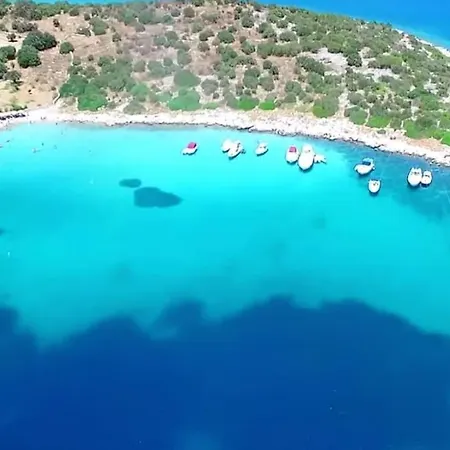 White In Olive Trees And Seaview To Panagia Holiday home