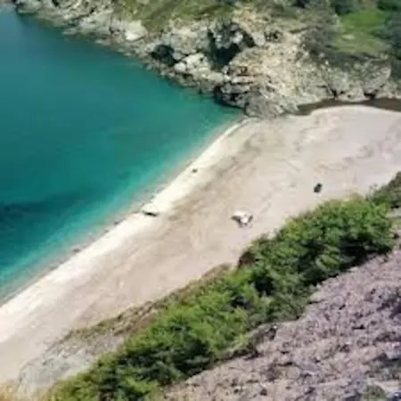 White In Olive Trees And Seaview To Panagia بيت للعطل Almiropótamos