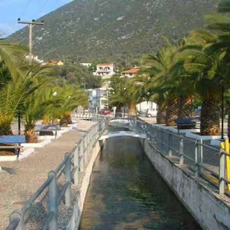 White In Olive Trees And Seaview To Panagia