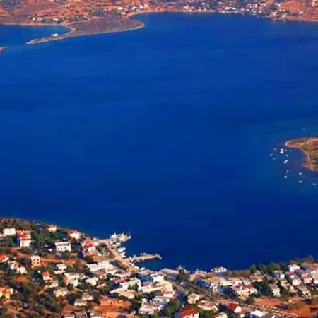 White In Olive Trees And Seaview To Panagia Ferienhaus