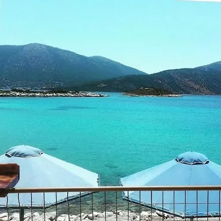 White In Olive Trees And Seaview To Panagia *