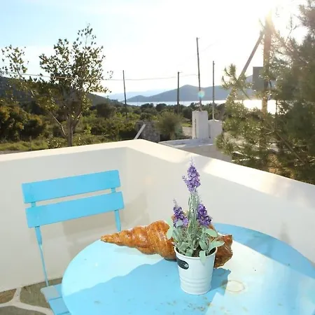 White In Olive Trees And Seaview To Panagia