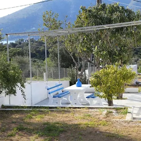 White In Olive Trees And Seaview To Panagia Almiropótamos