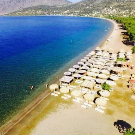 Σπίτι διακοπών White In Olive Trees And Seaview To Panagia *