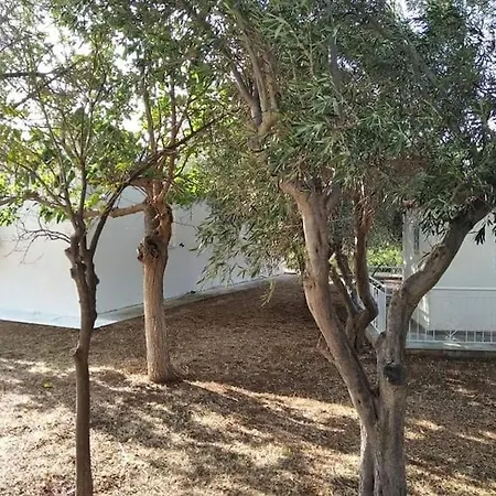 White In Olive Trees And Seaview To Panagia بيت للعطل Almiropótamos