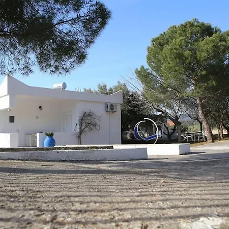 White In Olive Trees And Seaview To Panagia *