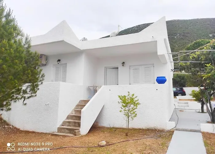 White In Olive Trees And Seaview To Panagia *