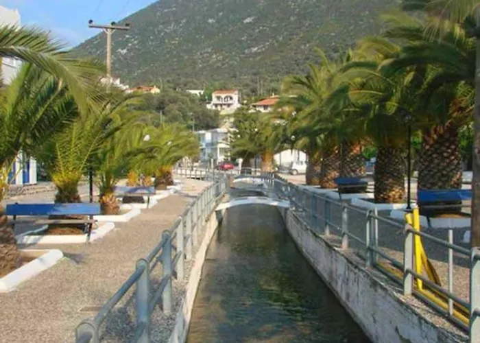 White In Olive Trees And Seaview To Panagia
