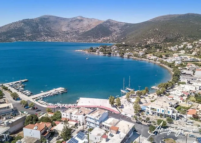 White In Olive Trees And Seaview To Panagia Almiropotamos